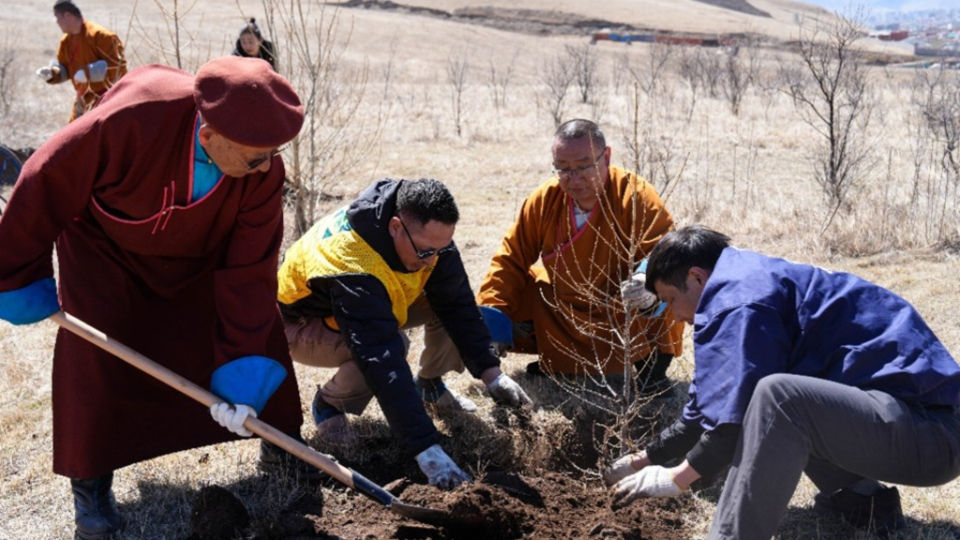 Tree-Planting-3.jpg