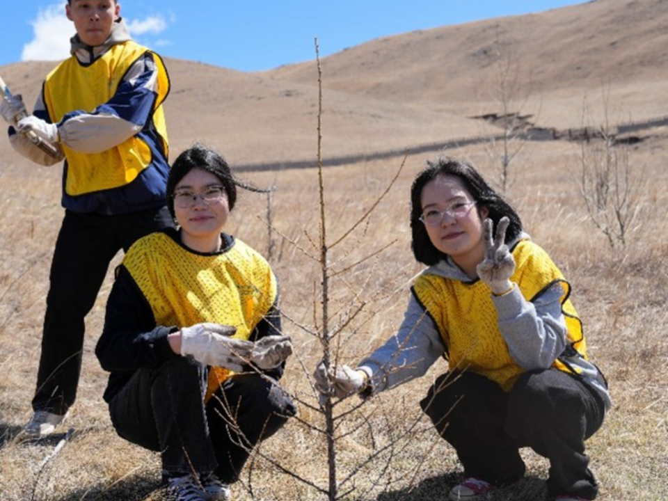 Tree-Planting-8.jpg